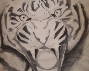 tiger