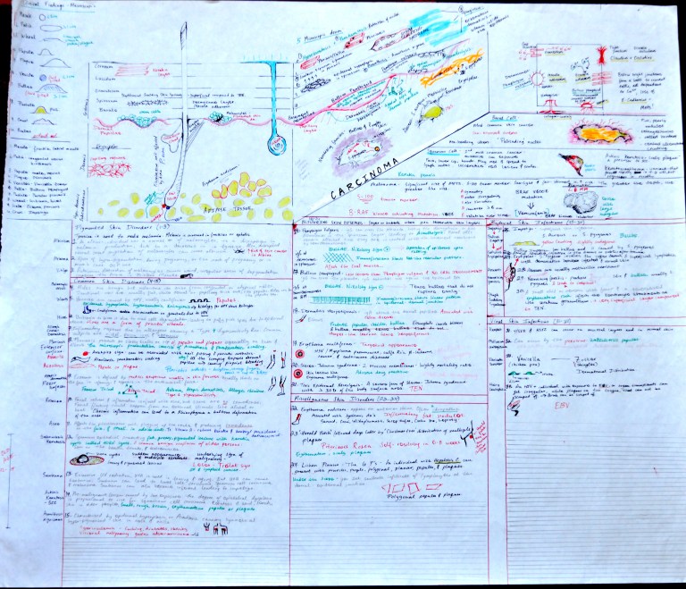 Skin and Skin Disease