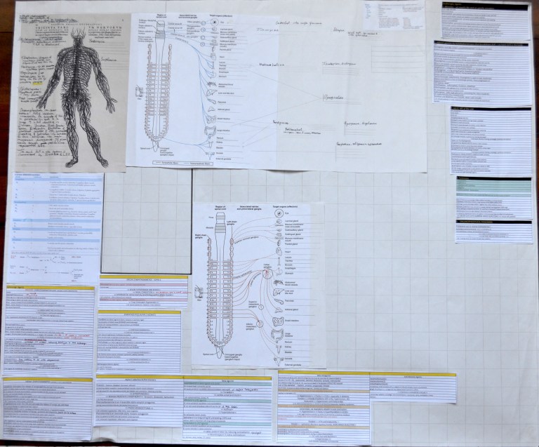 Sympathetic and Parasympathetic Nervous System